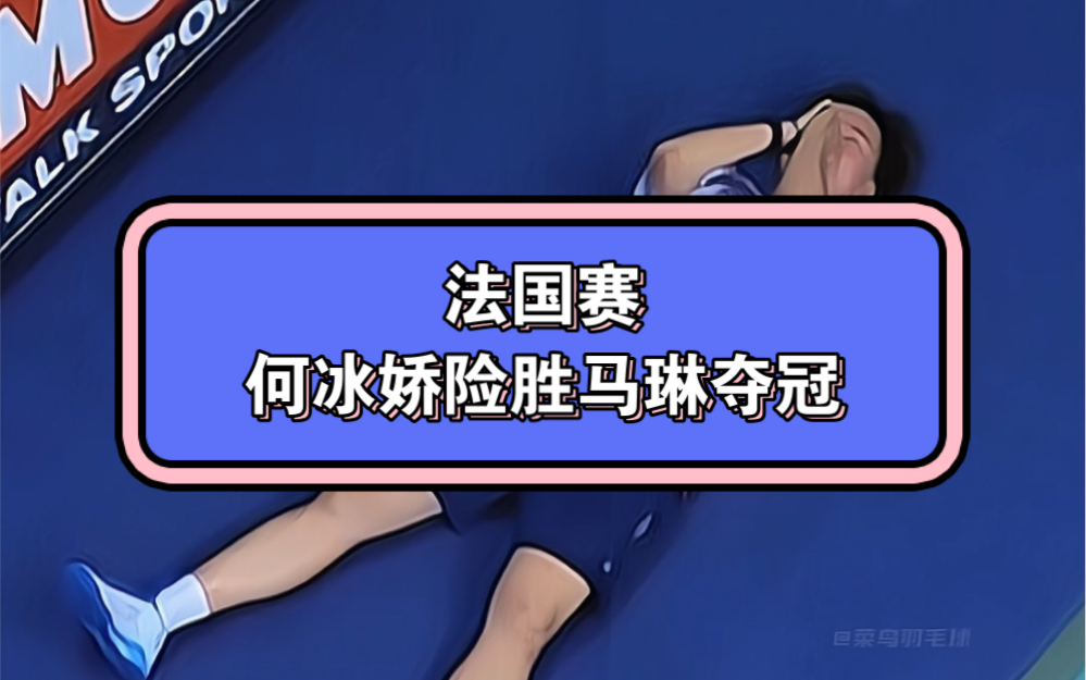 日本羽毛球队翻盘泰国羽毛球队,马琳高光表现的简单介绍 日本羽毛球队翻盘泰国羽毛球队,马琳高光表现的简单介绍